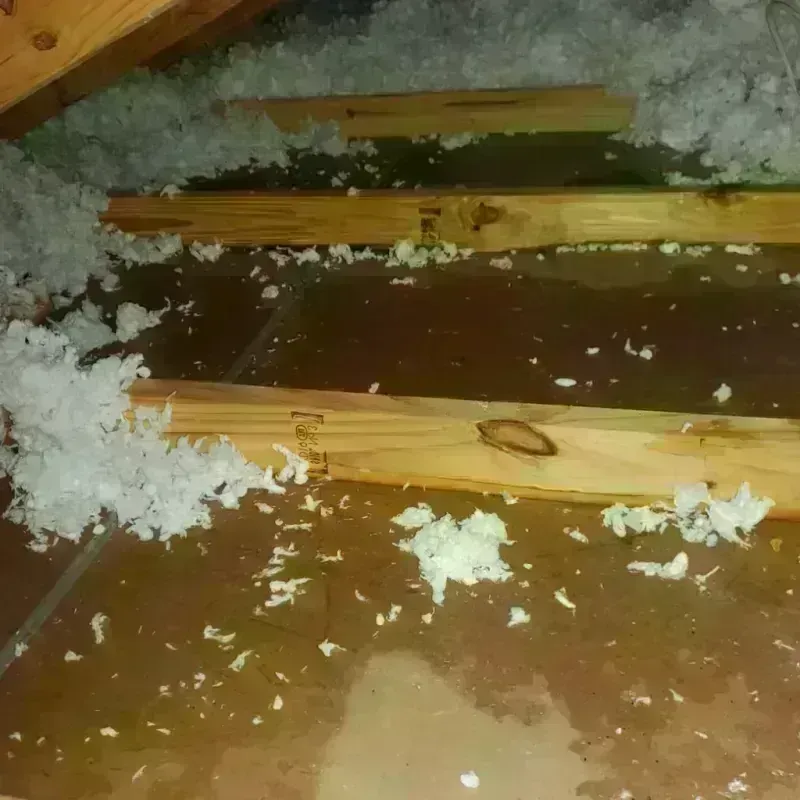 Attic Water Damage in Huntington, UT