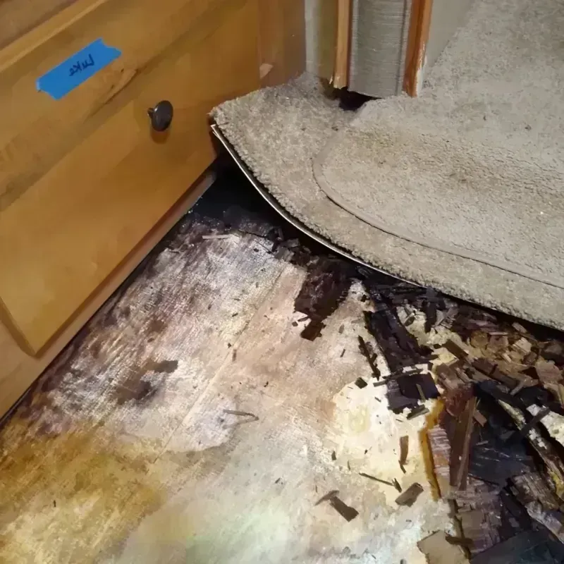 Wood Floor Water Damage in Huntington, UT